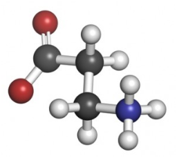 beta-alanines kemiske form 