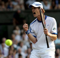 Andy-murray-tennis